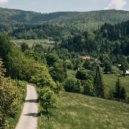 Проживание в семье Madzia Висла