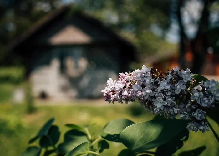 Madzia Accommodatie bij particulieren