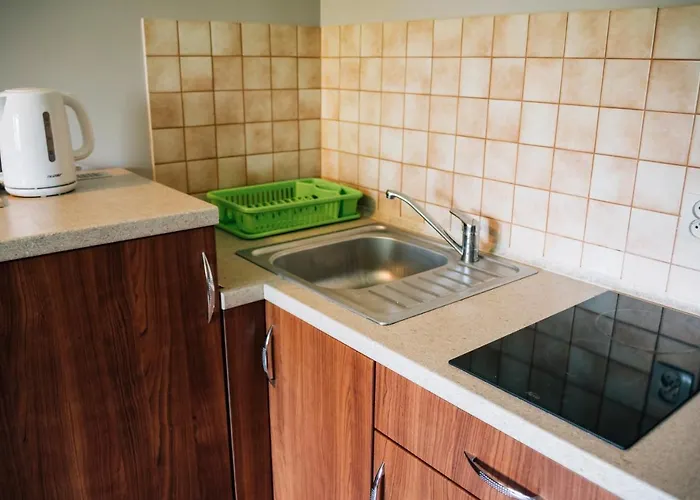 בית אירוח Madzia ויסלאו