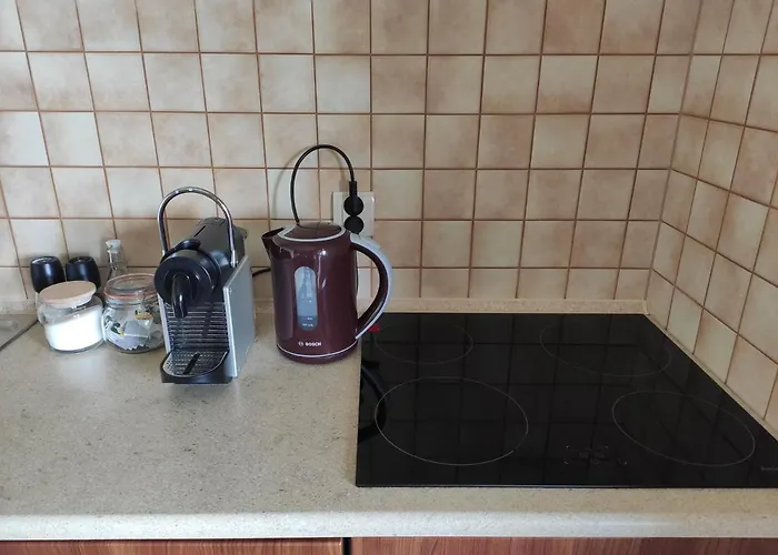 Madzia * ויסלאו