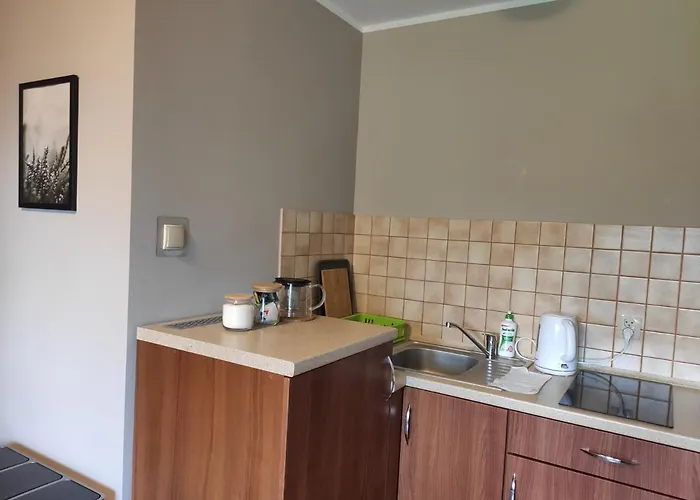 Madzia בית אירוח ויסלאו